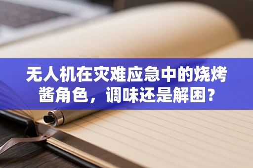 无人机在灾难应急中的烧烤酱角色，调味还是解困？