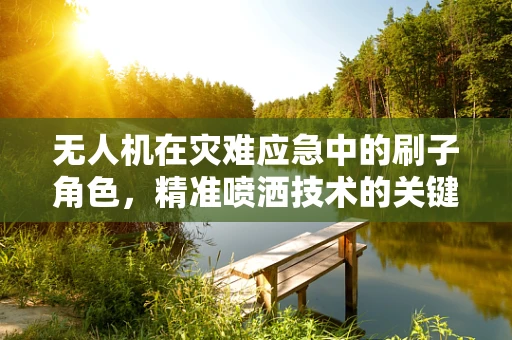 无人机在灾难应急中的刷子角色，精准喷洒技术的关键
