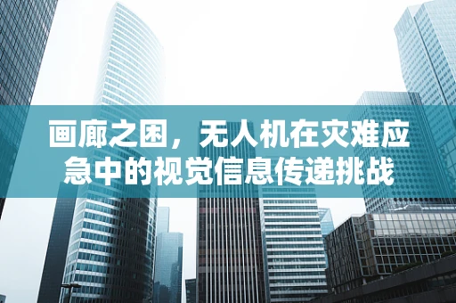 画廊之困，无人机在灾难应急中的视觉信息传递挑战