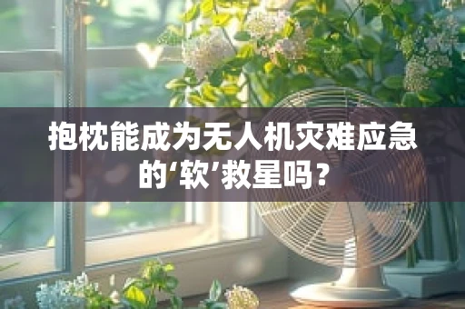 抱枕能成为无人机灾难应急的‘软’救星吗？