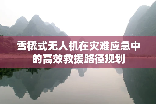 雪橇式无人机在灾难应急中的高效救援路径规划