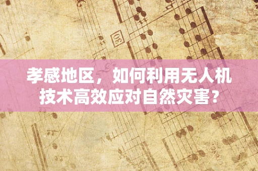 孝感地区，如何利用无人机技术高效应对自然灾害？