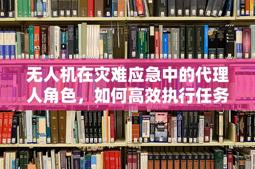无人机在灾难应急中的代理人角色，如何高效执行任务与保障隐私安全？