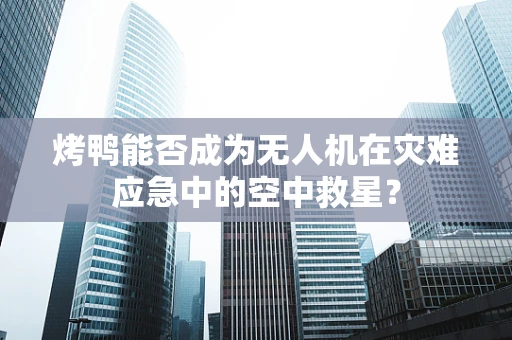烤鸭能否成为无人机在灾难应急中的空中救星？