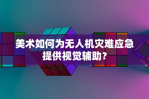美术如何为无人机灾难应急提供视觉辅助？