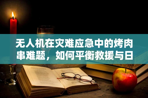无人机在灾难应急中的烤肉串难题，如何平衡救援与日常生活的烟火气？