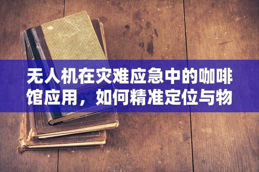 无人机在灾难应急中的咖啡馆应用，如何精准定位与物资投放？