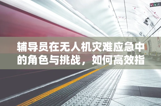 辅导员在无人机灾难应急中的角色与挑战，如何高效指挥救援？