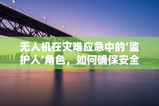 无人机在灾难应急中的‘监护人’角色，如何确保安全与合规？