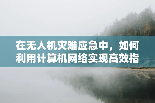 在无人机灾难应急中，如何利用计算机网络实现高效指挥与信息共享？