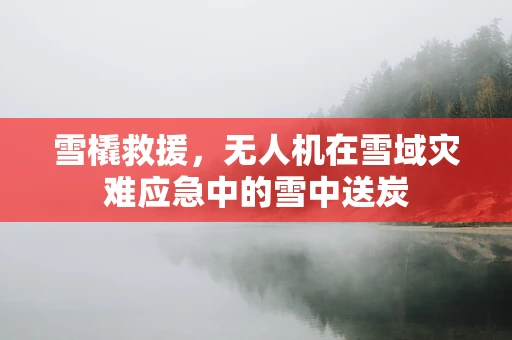 雪橇救援，无人机在雪域灾难应急中的雪中送炭