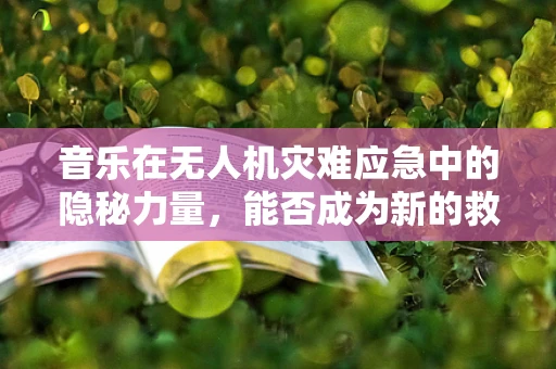 音乐在无人机灾难应急中的隐秘力量，能否成为新的救援信号？