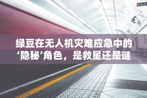 绿豆在无人机灾难应急中的‘隐秘’角色，是救星还是谜团？