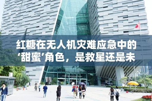 红糖在无人机灾难应急中的‘甜蜜’角色，是救星还是未知数？