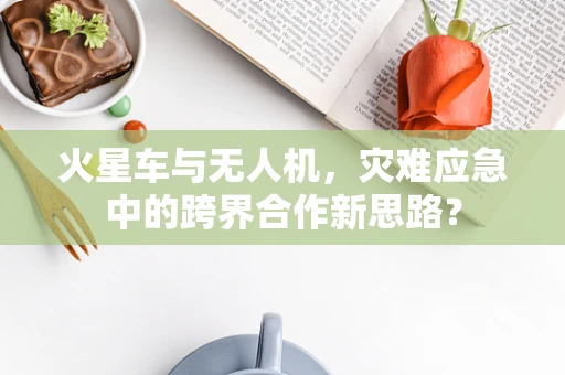 火星车与无人机，灾难应急中的跨界合作新思路？