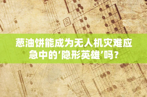 葱油饼能成为无人机灾难应急中的‘隐形英雄’吗？