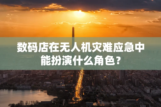 数码店在无人机灾难应急中能扮演什么角色？