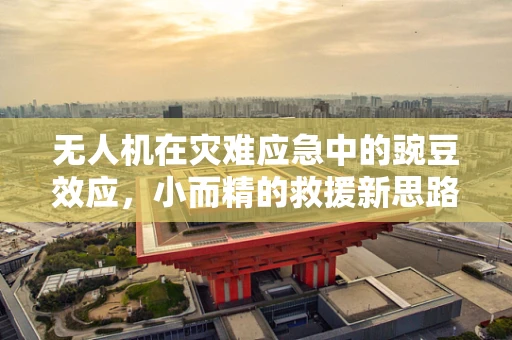 无人机在灾难应急中的豌豆效应，小而精的救援新思路？