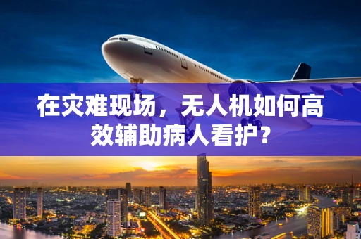 在灾难现场，无人机如何高效辅助病人看护？