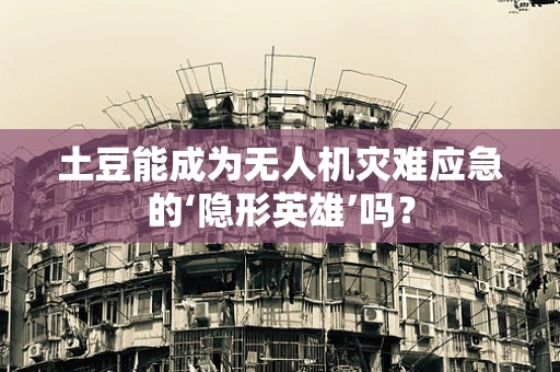 土豆能成为无人机灾难应急的‘隐形英雄’吗？