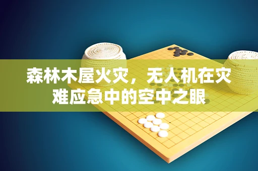 森林木屋火灾，无人机在灾难应急中的空中之眼