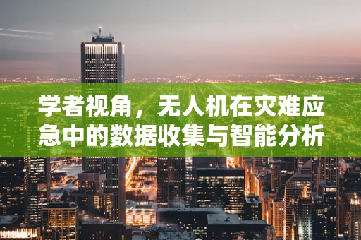 学者视角，无人机在灾难应急中的数据收集与智能分析如何更精准高效？