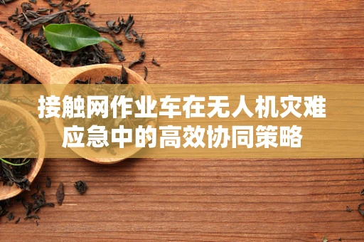 接触网作业车在无人机灾难应急中的高效协同策略