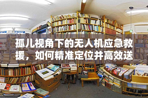 孤儿视角下的无人机应急救援，如何精准定位并高效送达？