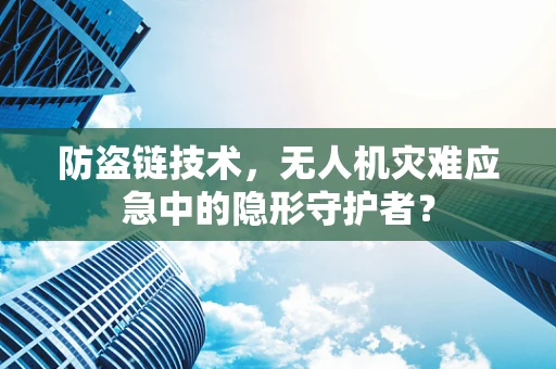 防盗链技术，无人机灾难应急中的隐形守护者？