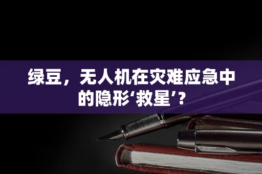 绿豆，无人机在灾难应急中的隐形‘救星’？