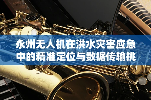 永州无人机在洪水灾害应急中的精准定位与数据传输挑战