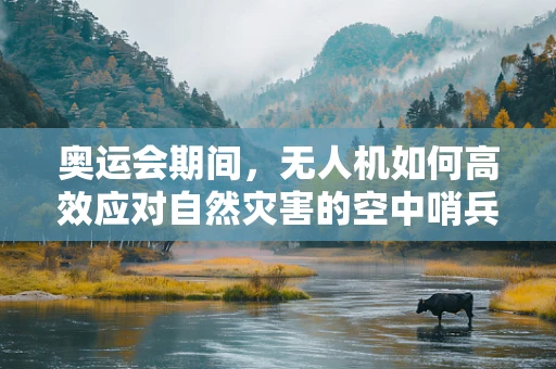 奥运会期间，无人机如何高效应对自然灾害的空中哨兵？
