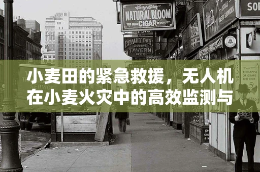 小麦田的紧急救援，无人机在小麦火灾中的高效监测与评估