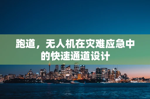 跑道，无人机在灾难应急中的快速通道设计