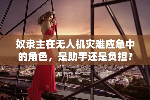 奴隶主在无人机灾难应急中的角色，是助手还是负担？