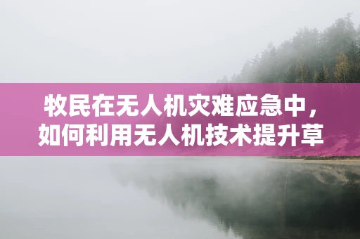 牧民在无人机灾难应急中，如何利用无人机技术提升草原火灾预警与响应效率？