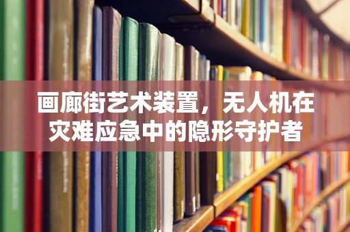 画廊街艺术装置，无人机在灾难应急中的隐形守护者