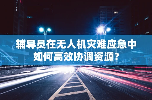 辅导员在无人机灾难应急中如何高效协调资源？