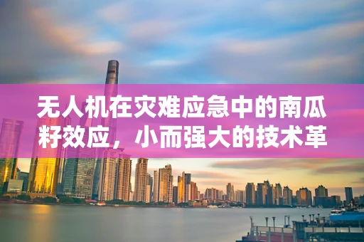 无人机在灾难应急中的南瓜籽效应，小而强大的技术革新？