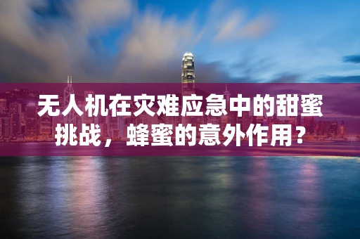 无人机在灾难应急中的甜蜜挑战，蜂蜜的意外作用？