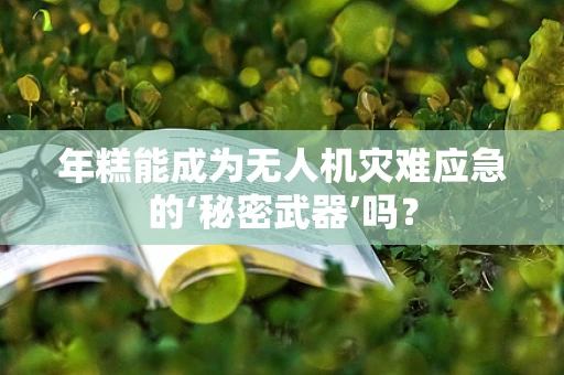 年糕能成为无人机灾难应急的‘秘密武器’吗？