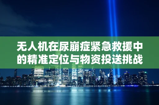 无人机在尿崩症紧急救援中的精准定位与物资投送挑战