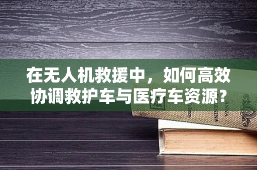 在无人机救援中，如何高效协调救护车与医疗车资源？