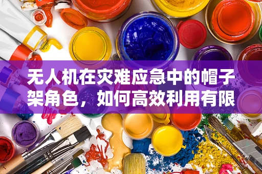 无人机在灾难应急中的帽子架角色，如何高效利用有限空间进行物资管理？