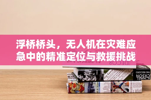 浮桥桥头，无人机在灾难应急中的精准定位与救援挑战