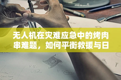 无人机在灾难应急中的烤肉串难题，如何平衡救援与日常生活的烟火气？