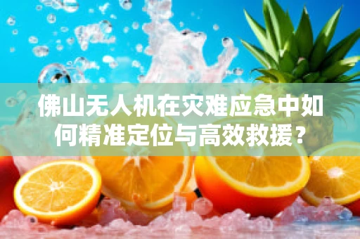 佛山无人机在灾难应急中如何精准定位与高效救援？