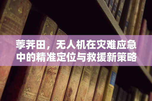 荸荠田，无人机在灾难应急中的精准定位与救援新策略？