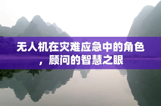无人机在灾难应急中的角色，顾问的智慧之眼