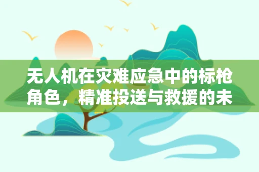 无人机在灾难应急中的标枪角色，精准投送与救援的未来？